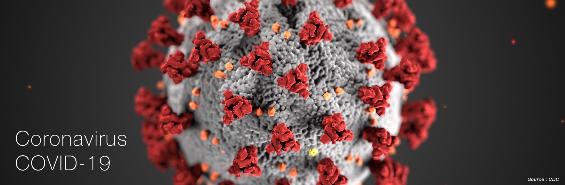 CDC : Coronavirus (COVID-19)